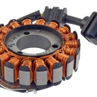ALTERNATOR / STATOR / NAMOTAJI - RMS <br>* DERBI GP1 250 (06-07)