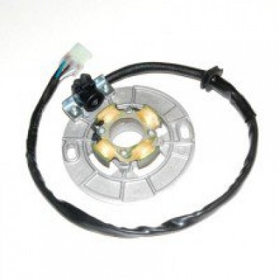 ELECTROSPORT ALTERNATOR(STATOR) SA SVJETLIMA YAMAHA YZ85 (02-07)