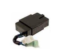 CENTRALNA ELEKTRONIKA RMS