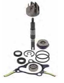 Pumpa vode - garnitura RMS