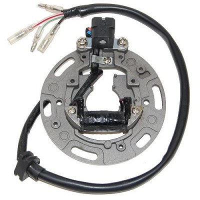 STATOR / NAMOTAJI KAWASAKI KX80 / KX100 (1990-1997) <br> ELECTROSPORT: ESC1361