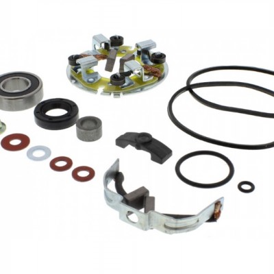 REPARTUR SET STARTERA / ANLASERA (ČETKICE + SEMERING + LEŽAJ) YAMAHA XV 500/535 Virago / XVS 650 Drag Star <br> ARROWHEAD (700.09.97)